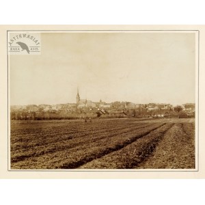 Panorama Tarnowa z Bazyliką Katedralną. Fotografia z końca XIX w.
