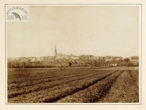Panorama of Tarnów with the Cathedral Basilica. Photo from the end of the 19th century.