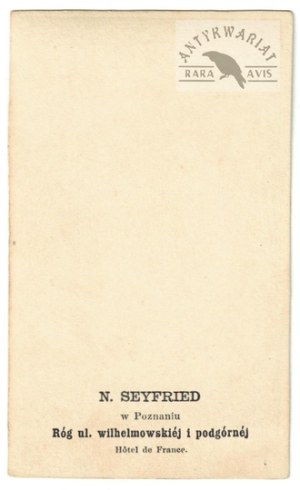 N. Seyfried - January Uprising - woman in costume from the 