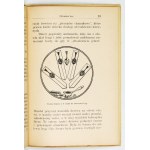TAUBER Majer, WAJNGARTEN Jerzy - Żydzi. Lwów 1933. Państw. Wyd. Książek Szkolnych. 16d, s. 36....