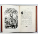 DUBOIS Auguste - Le Buffon des familles. Histoire et description des animaux extraites des oeuvres de Buffon et de Lacép...