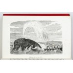 DUBOIS Auguste - Le Buffon des familles. Histoire et description des animaux extraites des oeuvres de Buffon et de Lacép...