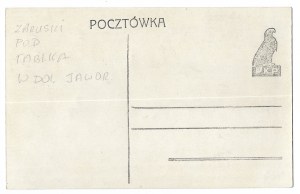 T. 31. the Tatras: the Klimek plaque.