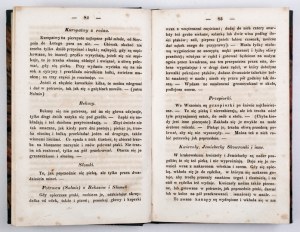 NAKWASKA K. of Potocki - Country manor. Vol. 2 - country kitchen. 1843.