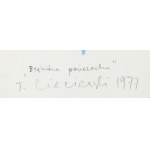 Tomasz Ciecierski (1945 Kraków - 2024 Warszawa), Błękitna pończocha, 1977