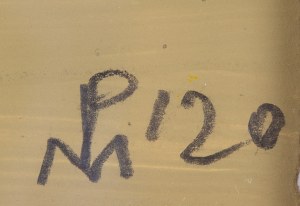 Piotr Młodożeniec (ur. 1956, Warszawa), Bez tytułu, 2020