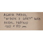 Agata Padol (ur. 1964), Widok z góry, 2024