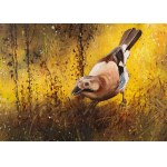 Konrad Hamada (b. 1981, Krakow), Jay, a breath of autumn, 2024