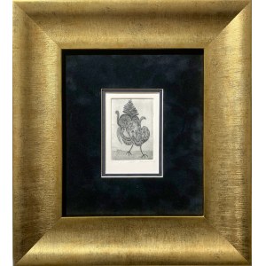 JAN NOWAK Bird