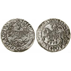 Poland, half-penny, 1558, Vilnius