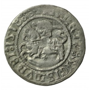 Zygmunt I Stary, Półgrosz 1518, Wilno. Pięć kropek na awersie. Rzadki (510)