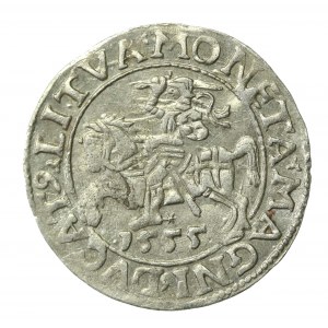 Zygmunt II August, Półgrosz 1555 Wilno, LI/LITVA (525)