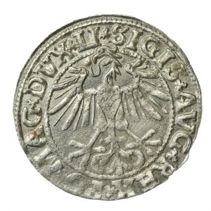 Zygmunt II August, Półgrosz 1550, Wilno, LI/LITVA (527)