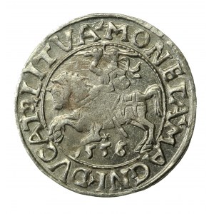 Zygmunt II August, Półgrosz 1556 Wilno, LI/LITVA (539)