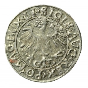 Zygmunt II August, Półgrosz 1556 Wilno, LI/LITVA (539)
