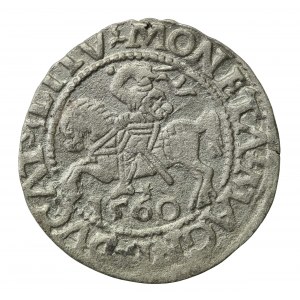 Sigismondo II Augusto, mezzo penny 1560, Vilnius - LI/LITV. A senza barra su aw. (622)