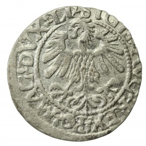 Sigismondo II Augusto, mezzo penny 1560, Vilnius - LI/LITV. A senza barra su aw. (622)