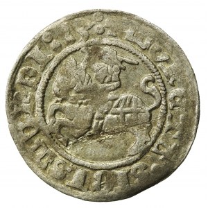 Zygmunt I Stary, Półgrosz 1513, Wilno (630)