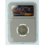 Sigismund III Vasa, Troyak 1594, Malbork. Mint (670)