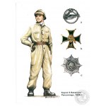 Zestaw kolekcjonerskich kart Polskie wojska pancerne 1918-1939