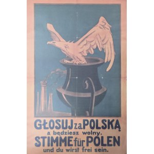 Głosuj za Polską / Plakat patriotyczny