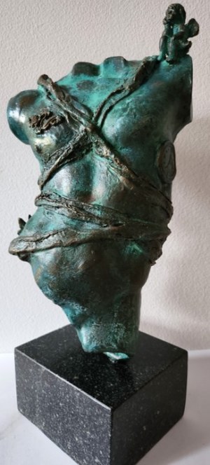 Janusz Jędrzejowski, Wojownik