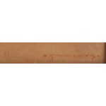 Piotr Stachiewicz (1858 Nowosiółki Gościnne - 1930 Kraków), Portrait of a Woman