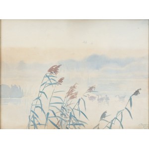 Zofia Stankiewicz (1862 Ryzhiv, Ukraine - 1955 Warsaw), Lake in the morning mist, 1926