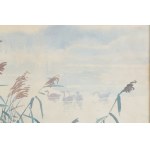 Zofia Stankiewicz (1862 Ryzhiv, Ukraine - 1955 Warsaw), Lake in the morning mist, 1926