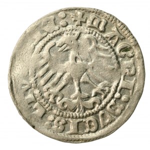 Zygmunt I Stary, Półgrosz 1513, Wilno. Cztery kropki na aw. Rzadki (601)