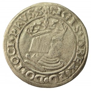 Zygmunt I Stary, grosz 1530, Toruń PRVS/PRVSS (605)