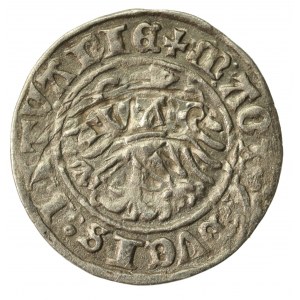 Zygmunt I Stary, Półgrosz 1510, Wilno. Dwukropek przed datą. Destrukt (607)