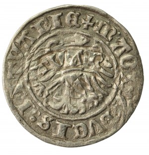 Sigismund I the Old, Half-penny 1510, Vilnius. Colon before the date. Destrukt (607)