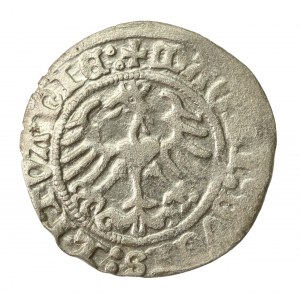 Zygmunt I Stary, Półgrosz 1513, Wilno. Kropka nad Pogonią (613)