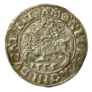 Zygmunt II August, Półgrosz 1555 Wilno, LI/LITVA. Bardzo ładny (614)