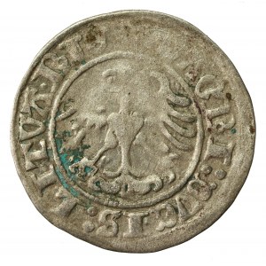 Zygmunt I Stary, Półgrosz 1513, Wilno. Trzykropek na awersie (620)