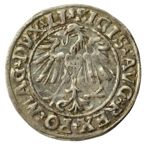Zygmunt II August, Półgrosz 1547, Wilno - LI/LITVA (621)