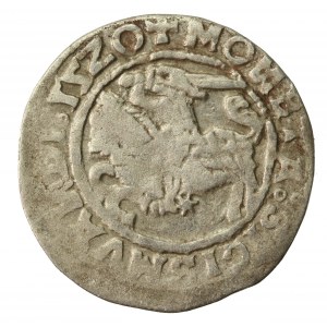 Zygmunt I Stary, półgrosz 1520, Wilno, SIGISMVANDI - odwrócone N (626)