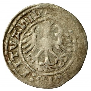 Zygmunt I Stary, półgrosz 1520, Wilno, SIGISMVANDI - odwrócone N (626)