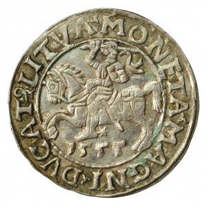 Zygmunt II August, Półgrosz 1555 Wilno, LI/LITVA (628)