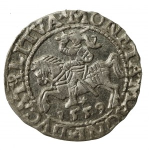 Zygmunt II August, Półgrosz 1559, Wilno - L/LITVA (823)