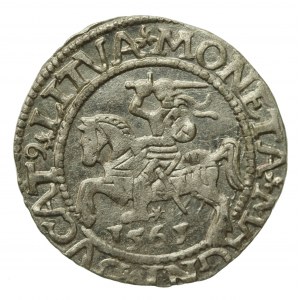 Zygmunt II August, Półgrosz 1561, Wilno - L/LITVA (825)