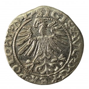 Zygmunt II August, Półgrosz 1563, Wilno - L/LITV (831)