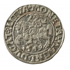 Zygmunt II August, Półgrosz 1549, Wilno - LI/LITVA (838)