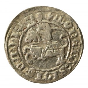 Zygmunt I Stary, Półgrosz 1510, Wilno (843)