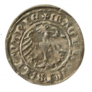 Zygmunt I Stary, Półgrosz 1510, Wilno (843)