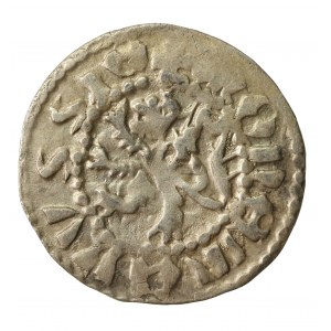 Ladislav II Jagiello, Ruský štvrťročník bez dátumu, Ľvov (845)