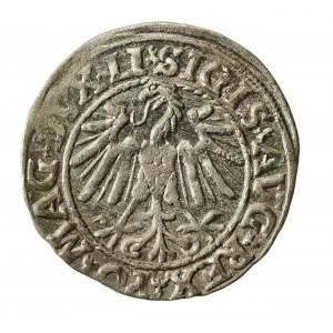 Zygmunt II August, Półgrosz 1547, Wilno - LI/LITVA (847)