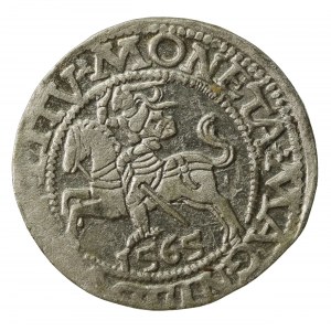 Zygmunt II August, Półgrosz 1565, Wilno - L/LITV (854)