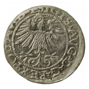 Zygmunt II August, Półgrosz 1565, Wilno - L/LITV (854)